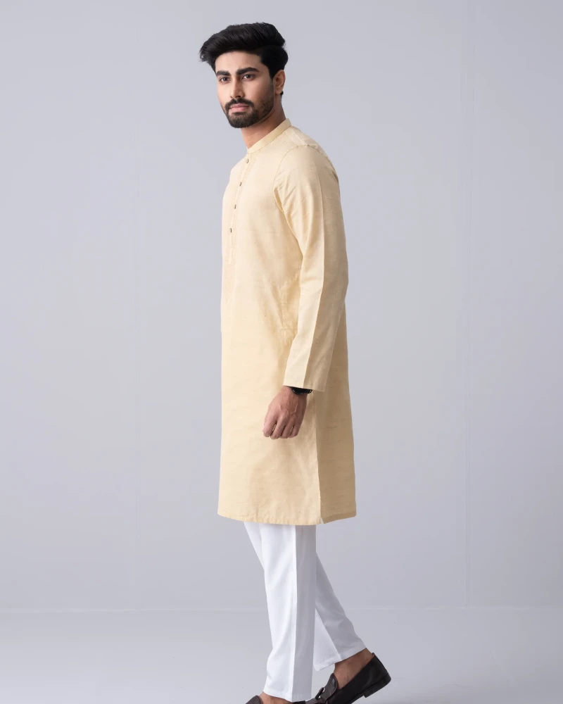 Regular Fit Embroidered Semi-Formal Panjabi - Alternate view 3 showing  color