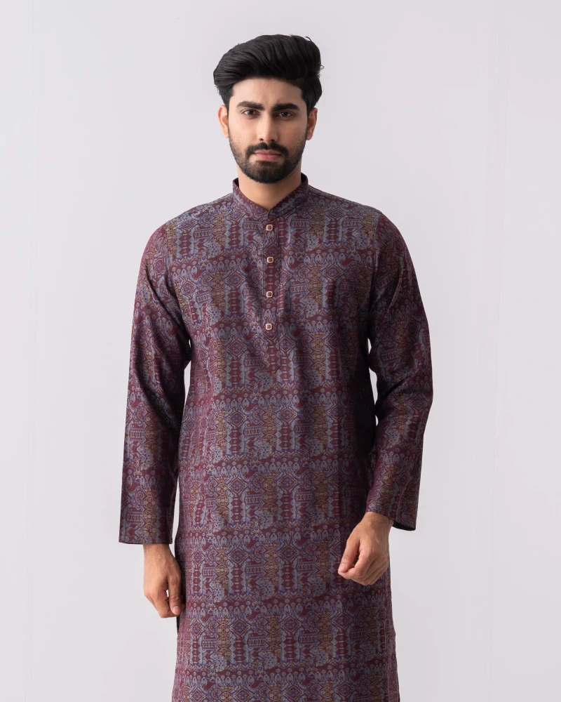 Regular Fit Jacquard Cotton Semi-Formal Panjabi - Alternate view 3 showing  color