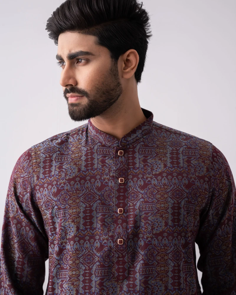 Regular Fit Jacquard Cotton Semi-Formal Panjabi - Alternate view 4 showing  color