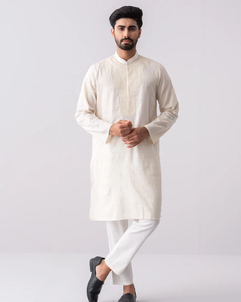 Regular Fit Endy Cotton Semi-Formal Panjabi - Alternate view 4 showing  color