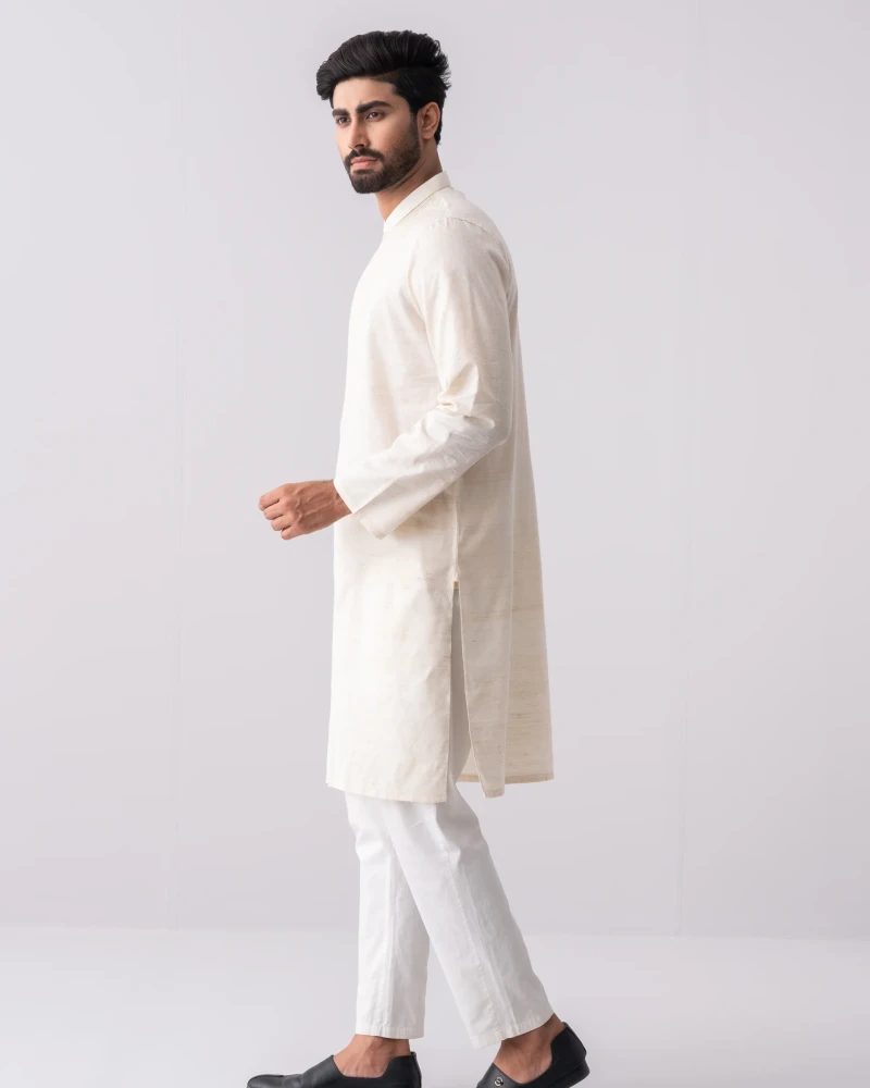 Regular Fit Endy Cotton Semi-Formal Panjabi - Alternate view 2 showing  color