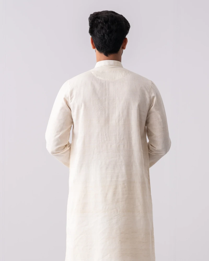 Regular Fit Endy Cotton Semi-Formal Panjabi - Alternate view 1 showing  color