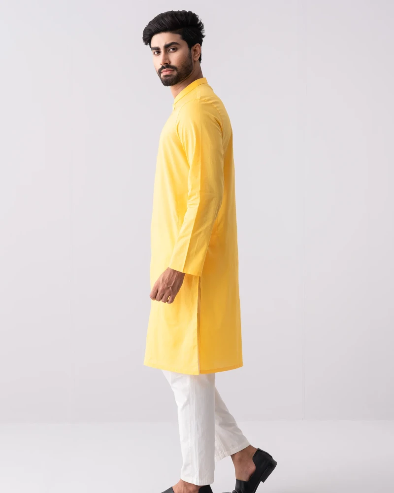 Regular Fit Cotton Panjabi - Alternate view 2 showing  color